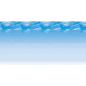 Fadeless Designs 48in x 12ft Wispy Clouds