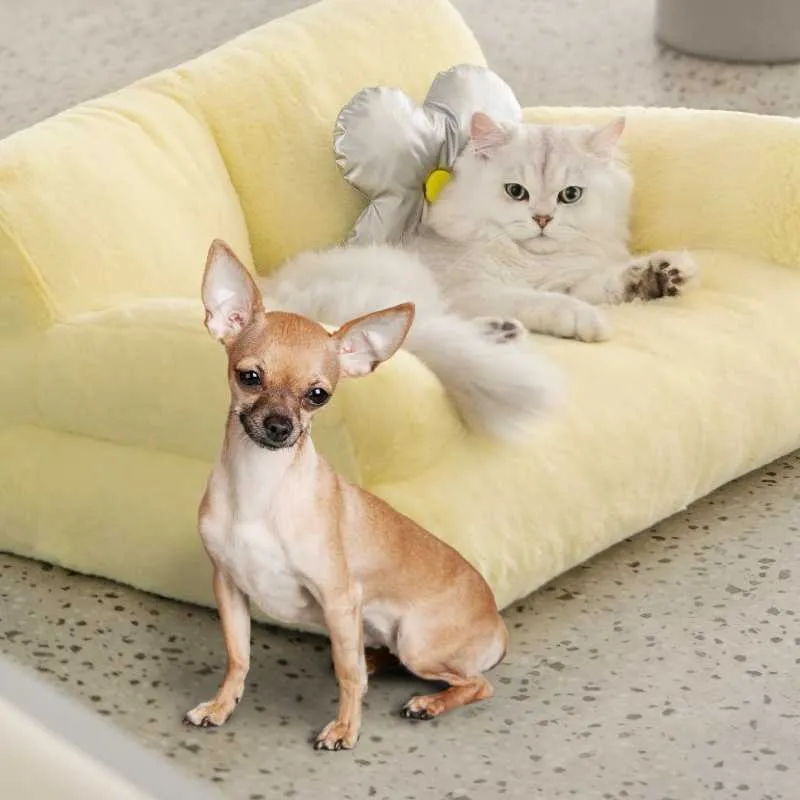 Floating Cloud Sofa For Pets