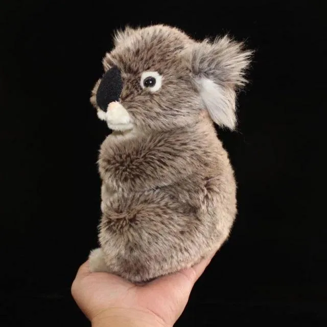 Grey Koala Plush Stuffed Toy