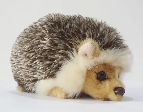 Hedgehog Plush Toy