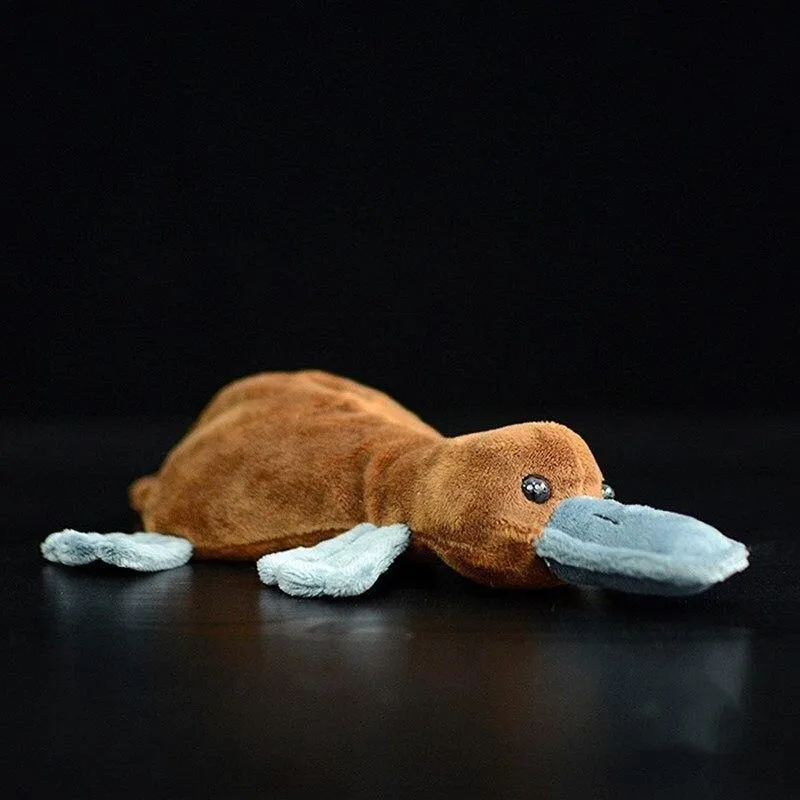 Platypus Plush Toy