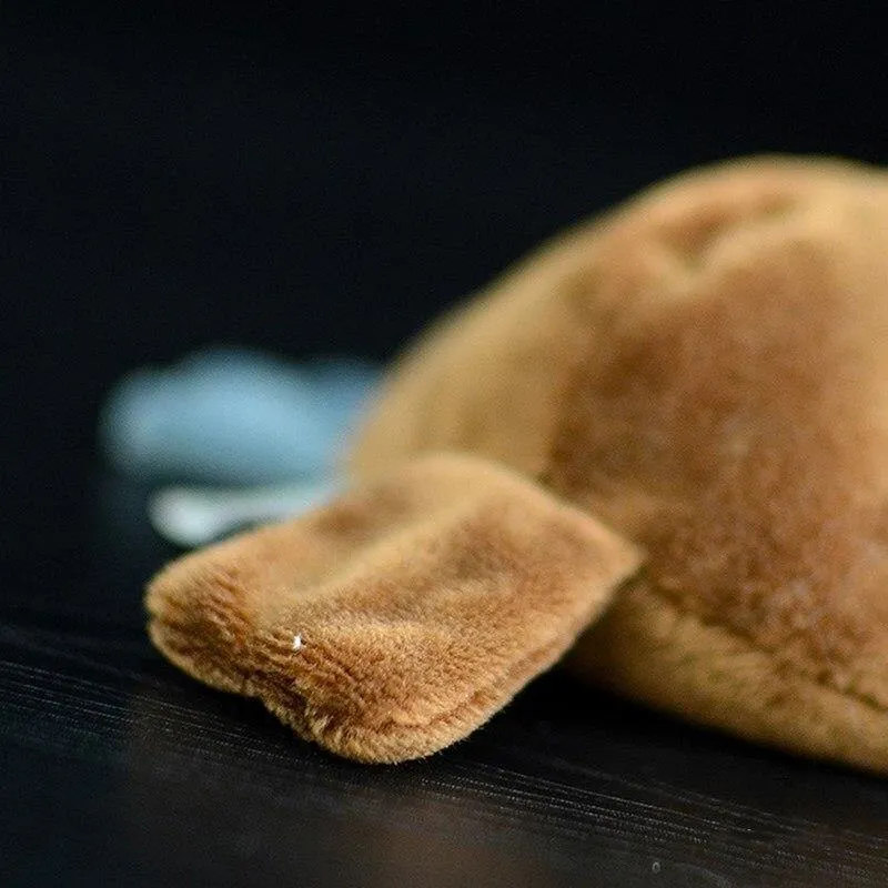 Platypus Plush Toy