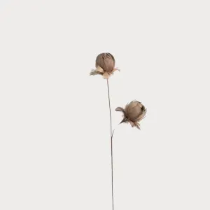 Taupe Feather Flower Stem - 28" Tall