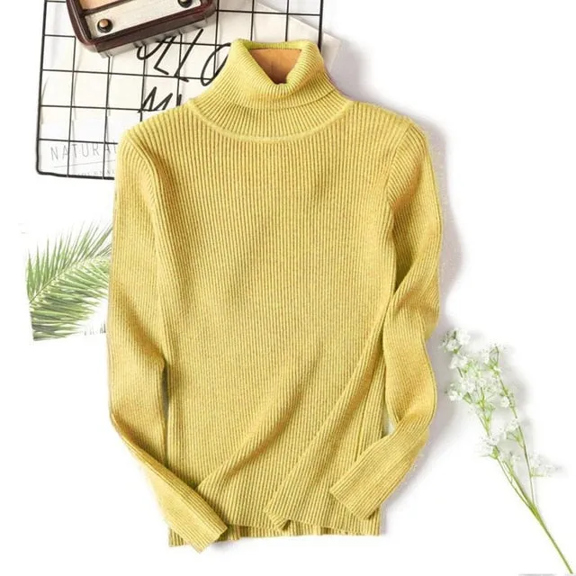 women Knitted Turtleneck Sweater